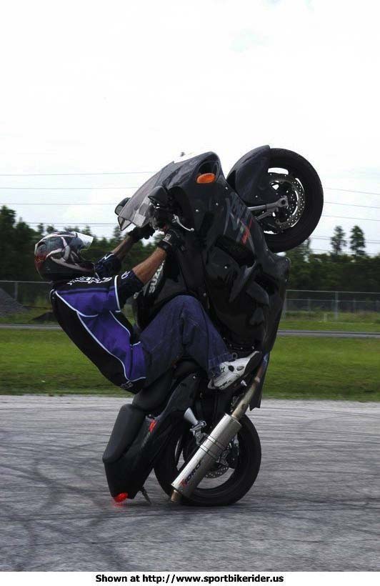 post_6_55918_Busa_wheelie1.jpg