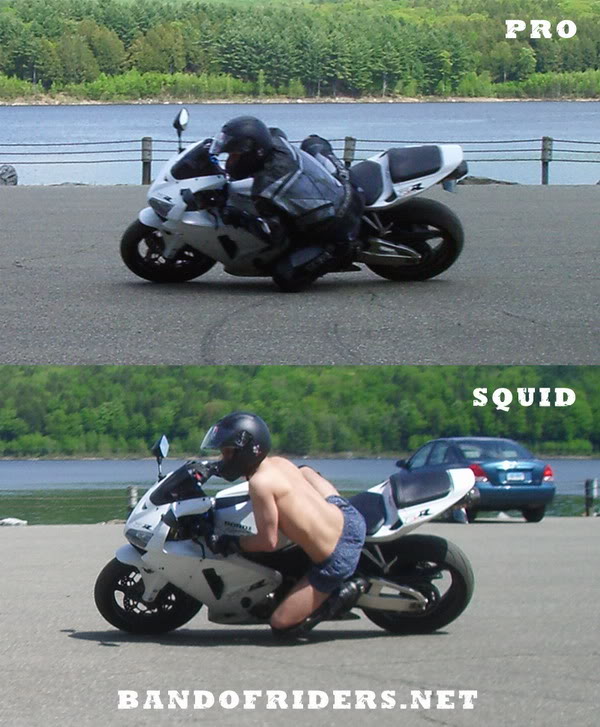 pro-squid2-jpg.1534657