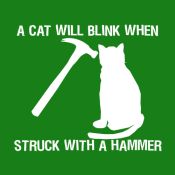 PS_0039W_HAMMER_CAT_t.jpg