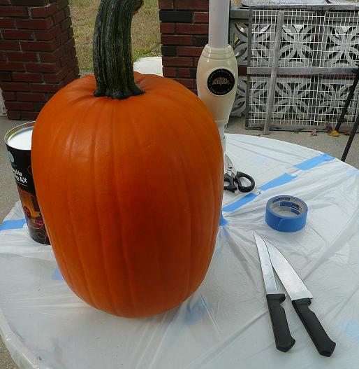 pumpkin_whole.JPG