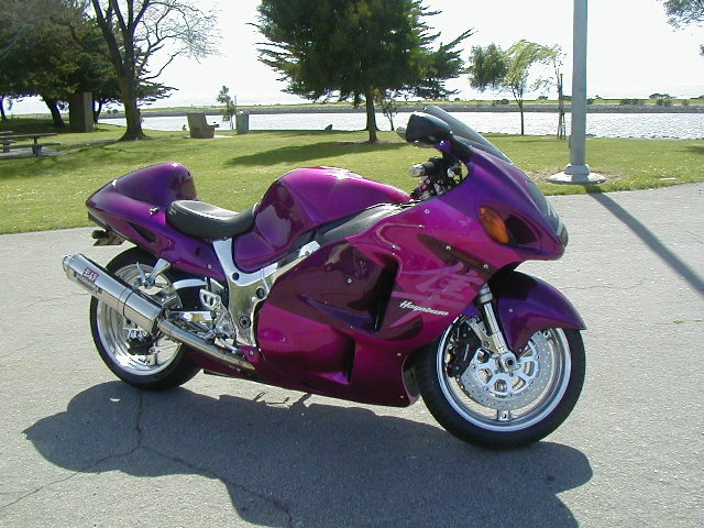 Purple_Busa1.jpg