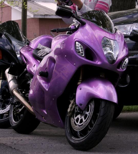 PurpleBusa2.jpg