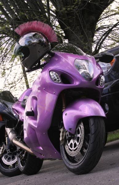 PurpleBusa3.jpg