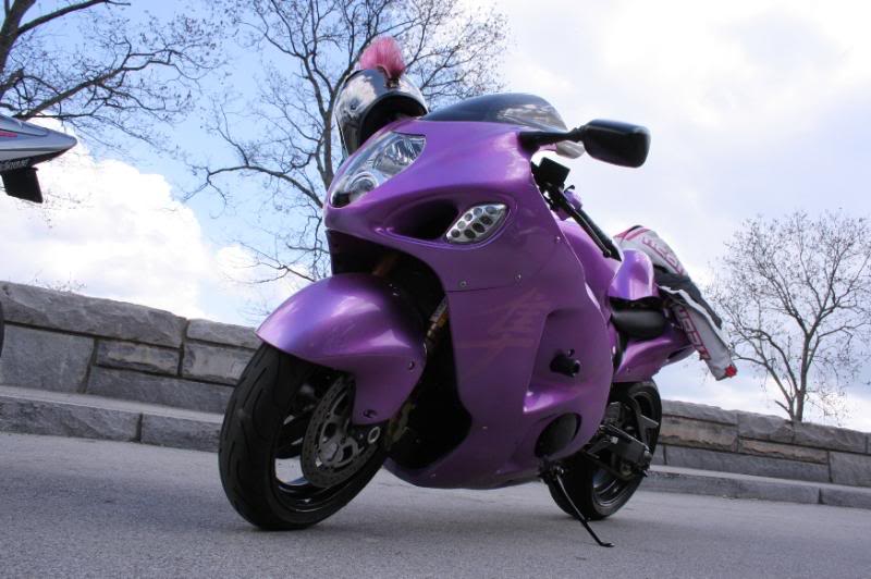 PurpleBusa6.jpg