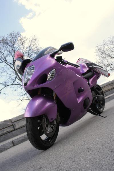 PurpleBusa7.jpg