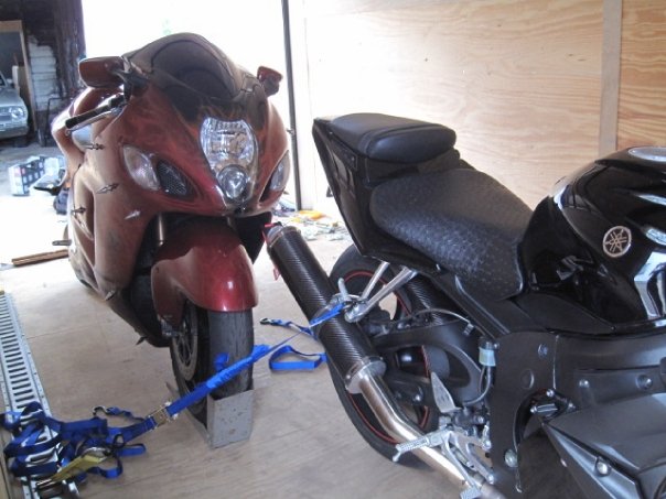 r6busa1.jpg