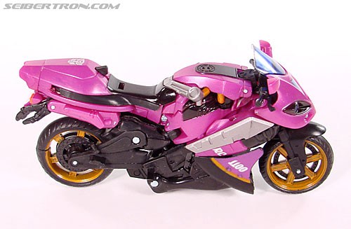 r_arcee026.jpg