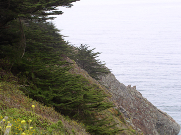 Ragged_Point_Trip__California_Coastline_07_a_.jpg