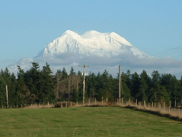 rainier.jpg