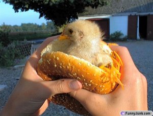 real_chicken_sandwhich_small.jpg