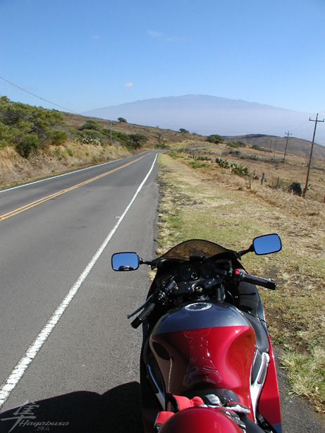 Red Busa on Kohala mt rd..jpg