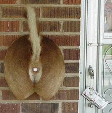 redneck doorbell.jpg