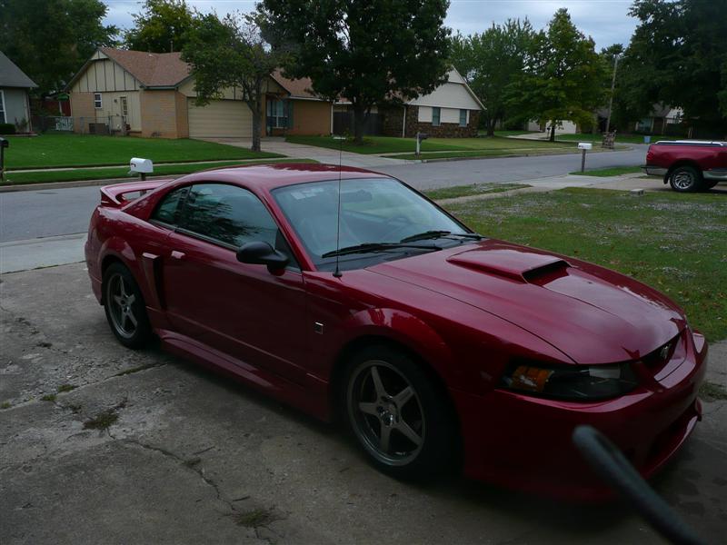 roush 005 (Medium).jpg