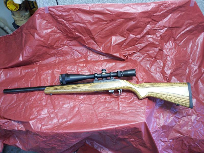 Ruger 22 long rifle with BSA 6-24 power scope.jpg