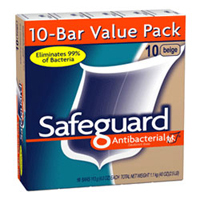 Safeguard.jpg