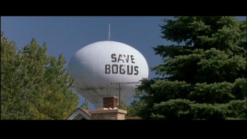 SaveBogus.jpg