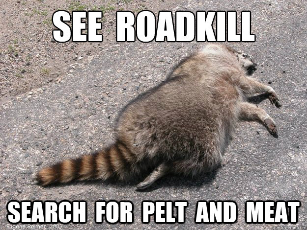 See-Roadkill-Search-For-Pelt-And-Meat-Funny-Image.jpg