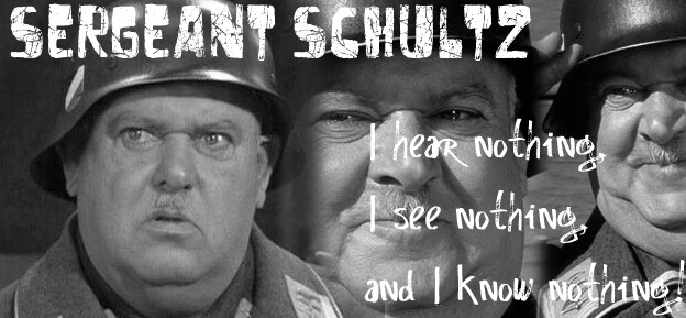 sergeant_schultz_by_wintersnowflurries.jpg