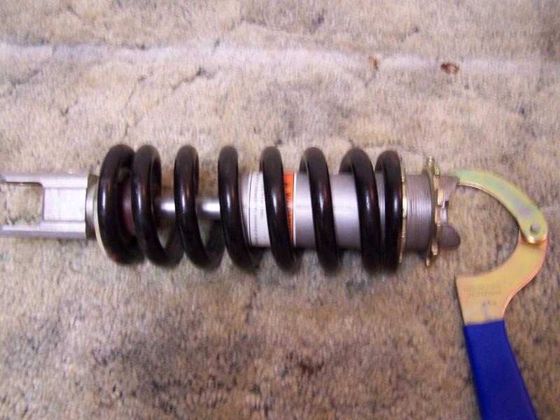 shock spring 003.jpg