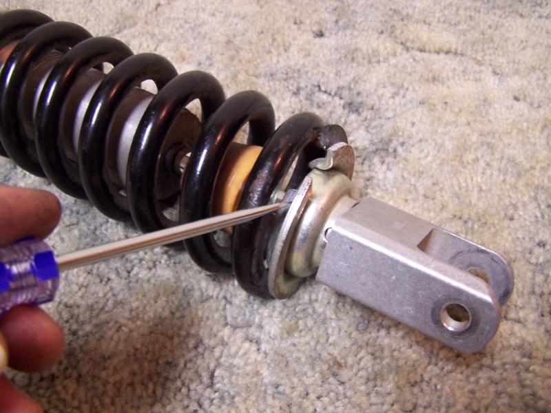 shock spring 006.jpg