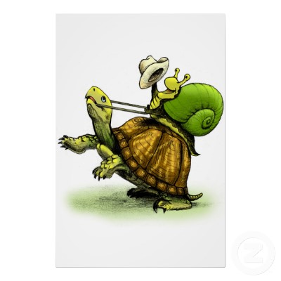snail turtle.jpg