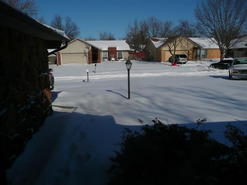 snow 010 (Medium).jpg