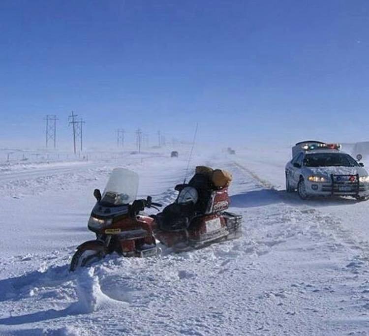 snow-goldwing.jpg