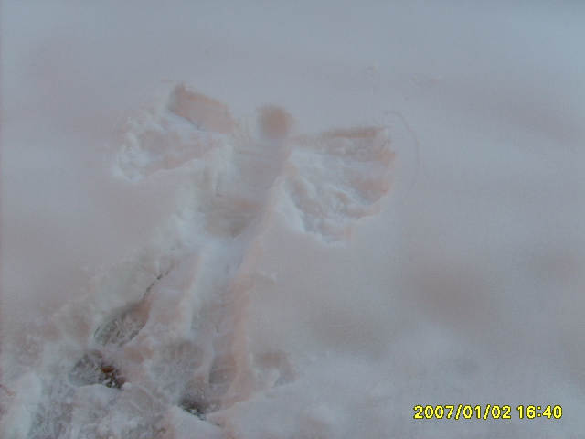 snowangel.jpg