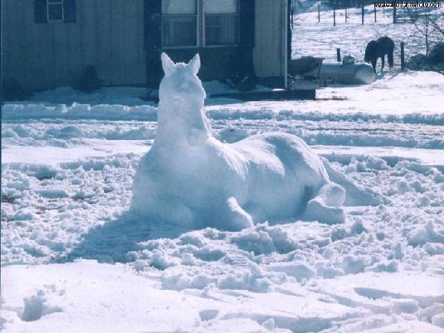 Snowhors.jpg