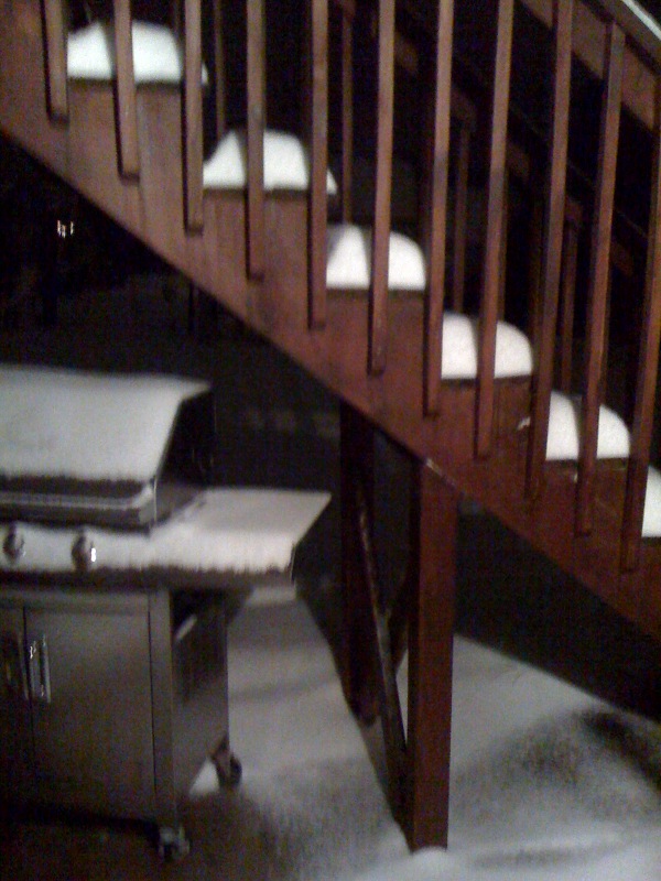 Snowy Steps.jpg