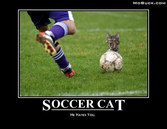 soccer_cat__2_.JPG