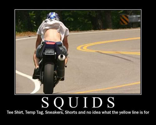 squid.jpg