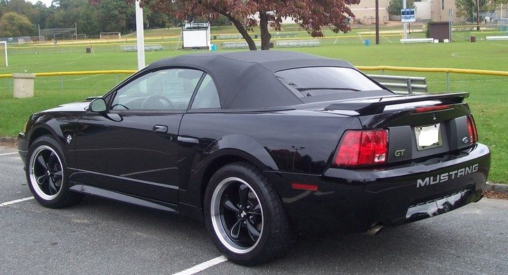 stang1.jpg