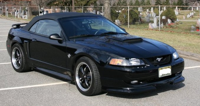 stang3.jpg