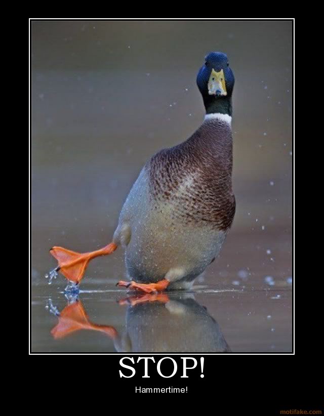 stop-hammertime-demotivational-post.jpg