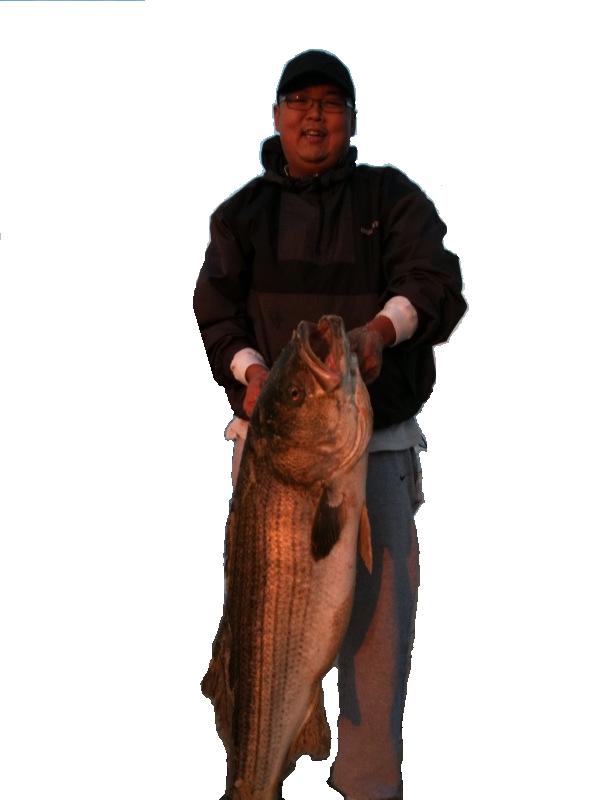 striper2a.JPG