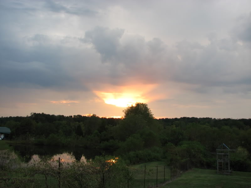 Sunset001.jpg