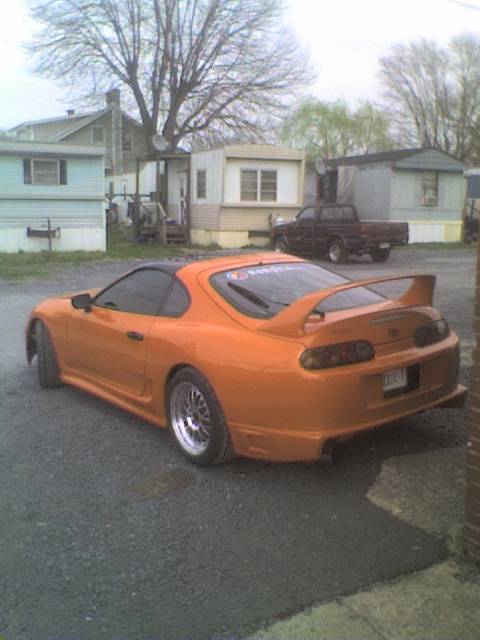 Supra_5.jpg