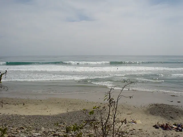 Surfs_Up.webp