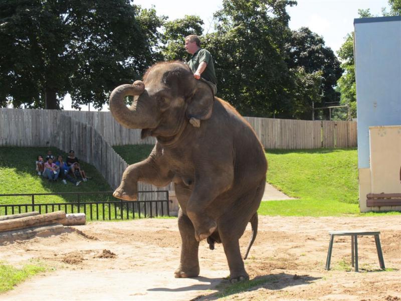 syracuse zoo 108.jpg