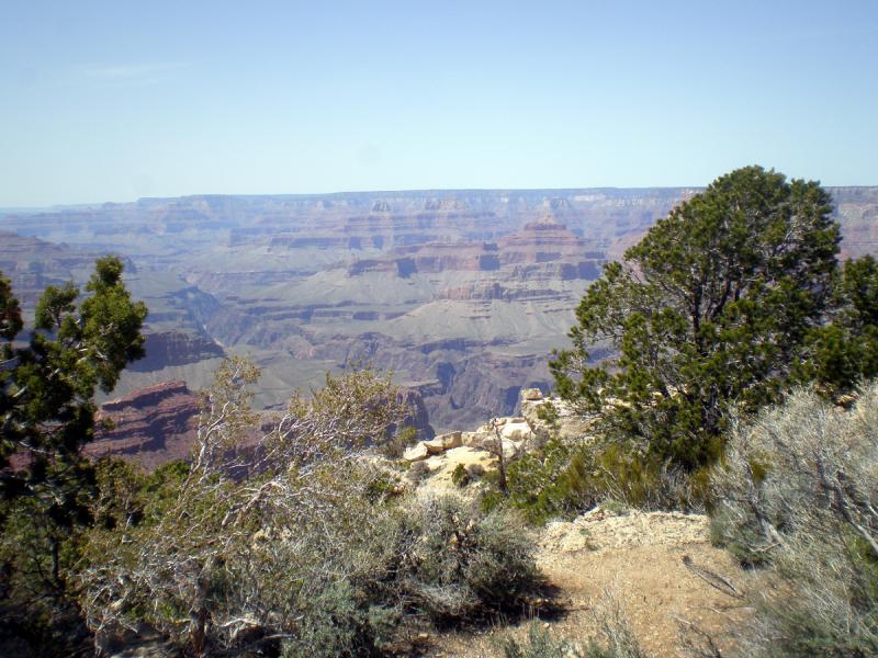 The Canyon 13.jpg