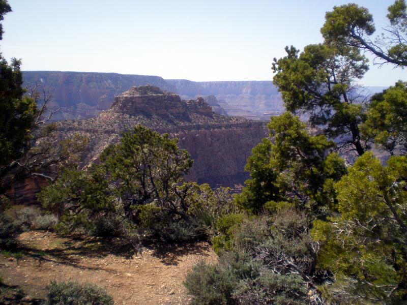 The Canyon 14.jpg