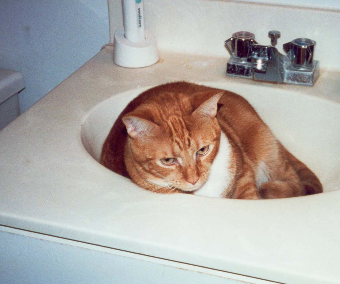 Tigger_sink.jpg