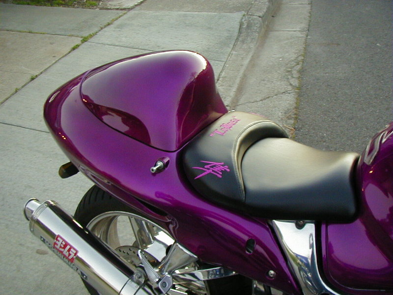 Tobin_seat_busa_3.jpg