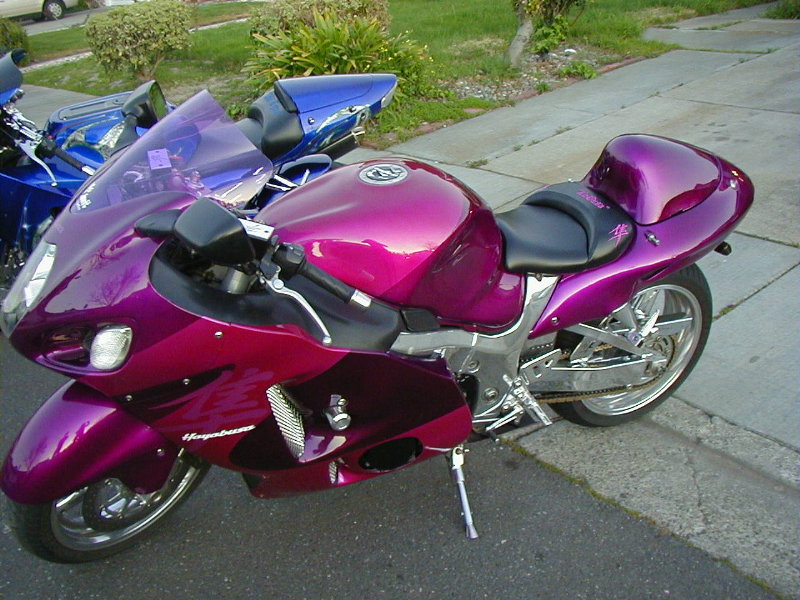 Tobin_seat_busa_fullsize.jpg