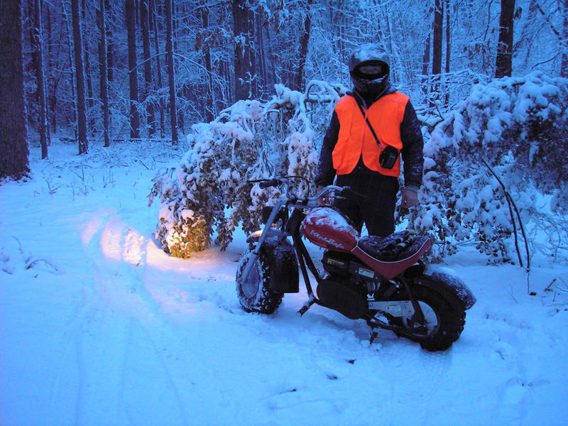 Trail2.jpg