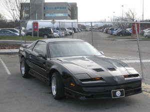 transAm1.jpg