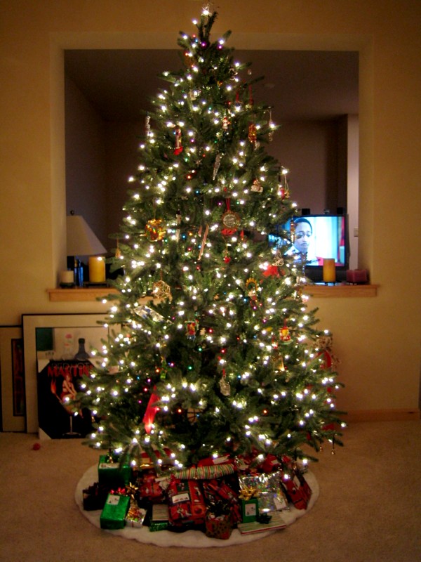 Tree05.jpg