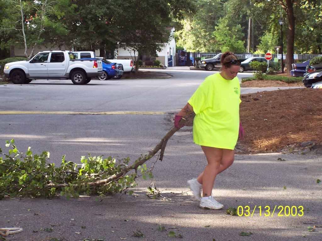 treework009.jpg