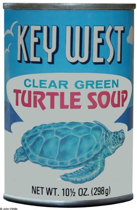 turtle-soup.jpg